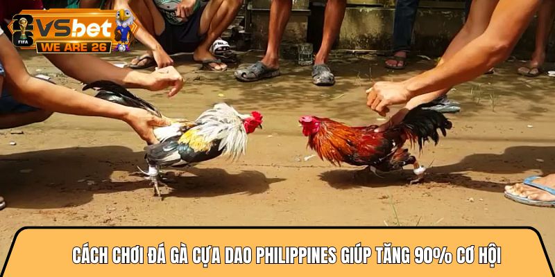 Cách chơi đá gà cựa dao philippines