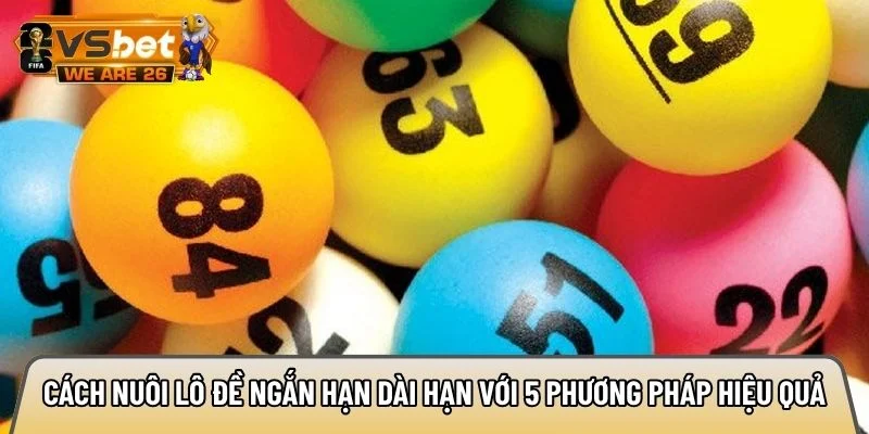 Cách nuôi lô đề ngắn hạn dài hạn